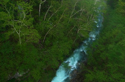 流れに身を任せていくしかない